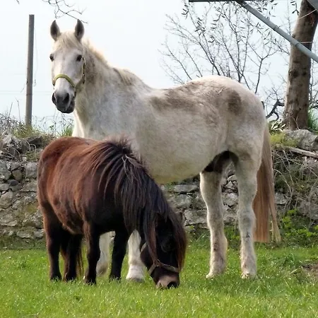 Agritur Maso Fontane * Arco